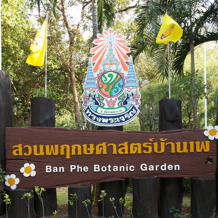 Ban Phe Botanical Gardenสวนพฤกษศาสตร์บ้านเพ 