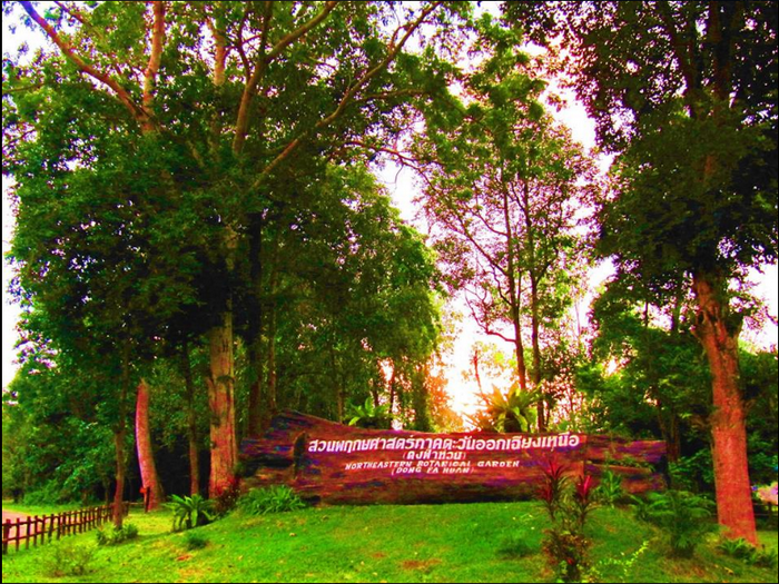 Dong Fa Huan Botanical Gardenสวนพฤกษศาสตร์ดงฟ้าห่วน 